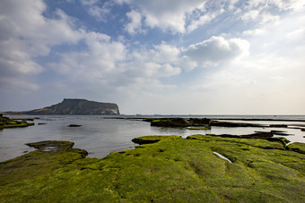 海边农田风景图