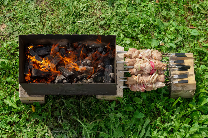 草坪上的烤肉