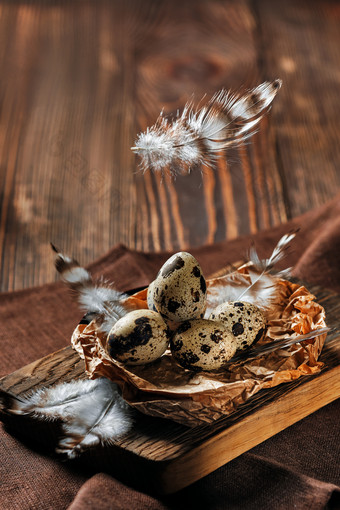 羽毛鹌鹑蛋背景摄影图