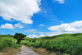 蓝天白云下的牧场原野