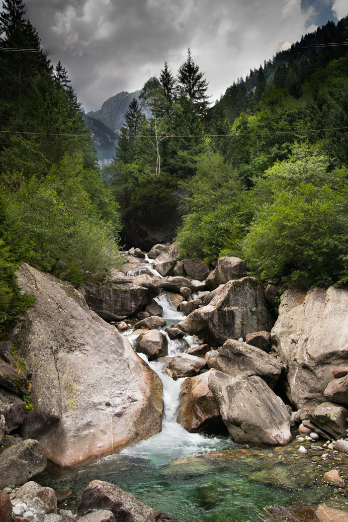 山间溪水树木自然风景