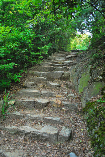 通往树林<strong>深处</strong>的坑洼台阶