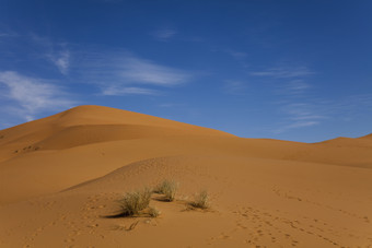 沙滩沙地沙漠摄影图