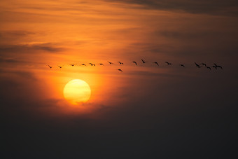 金黄色的落日余晖夕阳