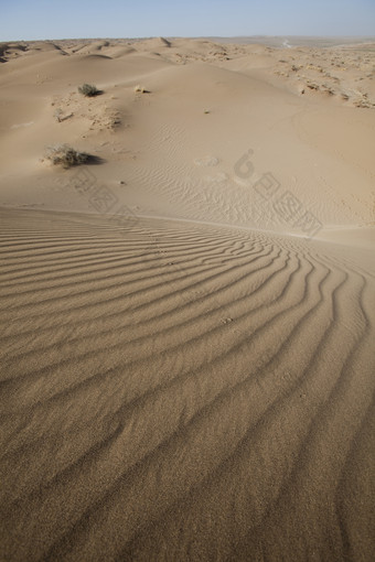 沙滩<strong>荒漠沙漠</strong>沙子