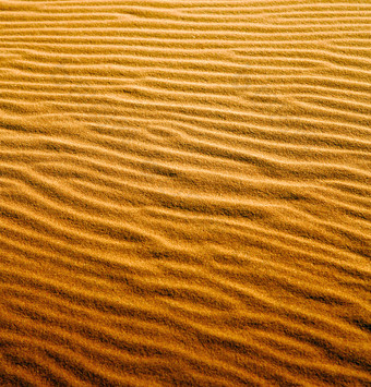 黄金沙漠上的沙土纹路