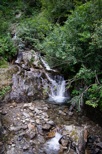 高山流水绿植水流