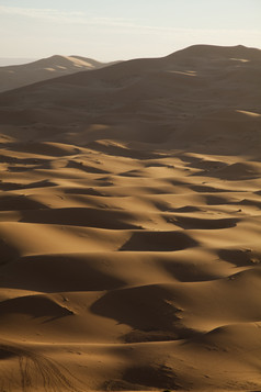 阳光下的沙漠沙丘景观
