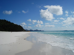 晴朗天空下的海滩海浪