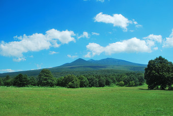 蓝天白云下的草地原野