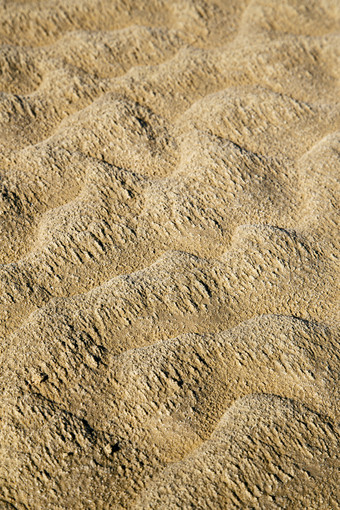 沙丘沙子沙漠荒漠摄影图片