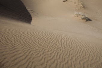 荒凉沙漠上的沙土纹理