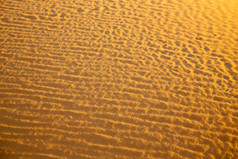金色沙滩沙漠沙地