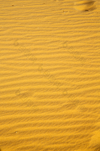 黄金沙漠上的沙土纹理