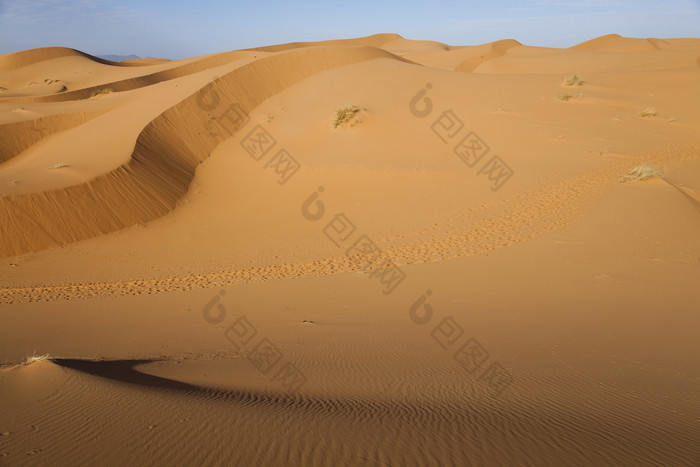 黄沙沙漠荒漠沙子沙粒