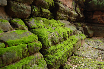 大自然岩石青苔绿色