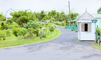 户外道路绿植房屋