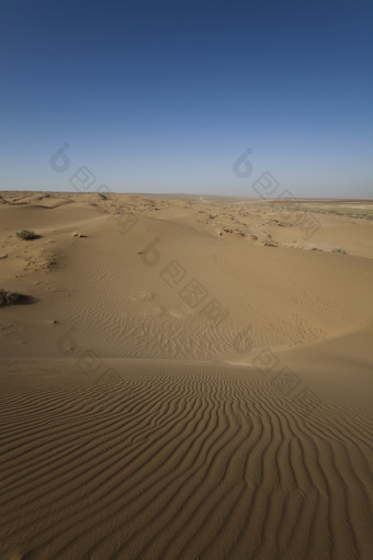 荒凉的撒哈拉大漠风景