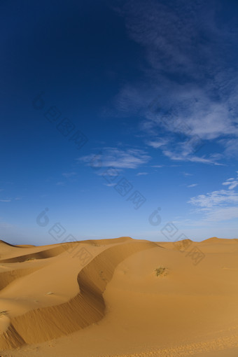 蓝色天空下的沙滩沙地摄影
