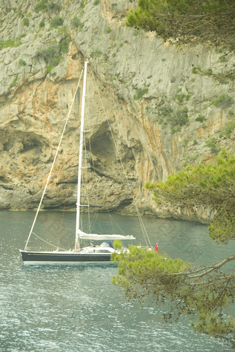 帆船悬崖海洋岩石植物
