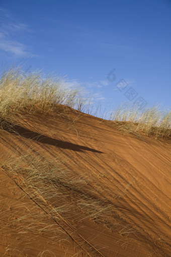 沙漠沙丘流沙和茅草