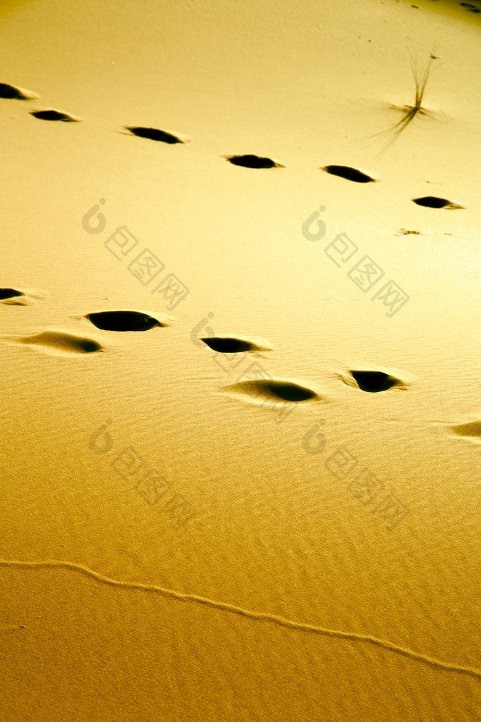 沙漠脚印沙地摄影图