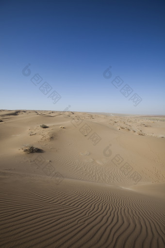 蓝天下的沙漠平原