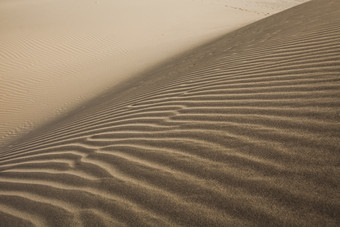沙丘沙子沙洲沙漠荒漠