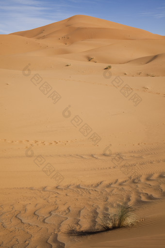 一望无际阿拉伯沙漠摄影图