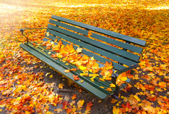 秋季长椅黄叶落叶