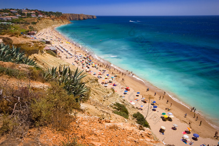 海滩边密密麻麻的人类旅客
