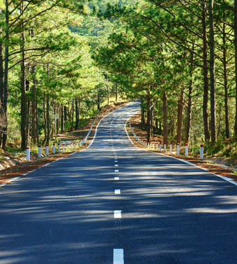 夏日季节的公路摄影图