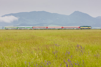 植物火车山峰绿色<strong>朦胧</strong>