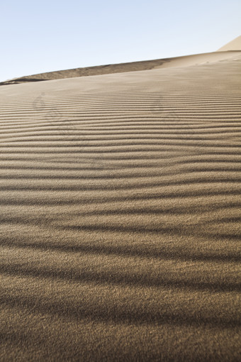 沙地沙漠沙滩波浪纹的沙地摄影