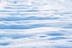 雪景近景