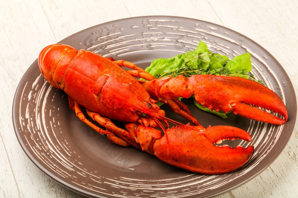 味道鲜美的烹调-煮熟的<strong>龙虾</strong>，可供食用