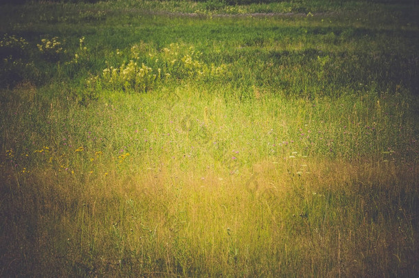 绿草草坪复古