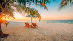 美丽的海滩背景，夏天的旅行与阳光，椰子树和沙滩木床，沙滩上美丽的蓝色大海和蓝天。夏日心情阳光沙滩背景概念.