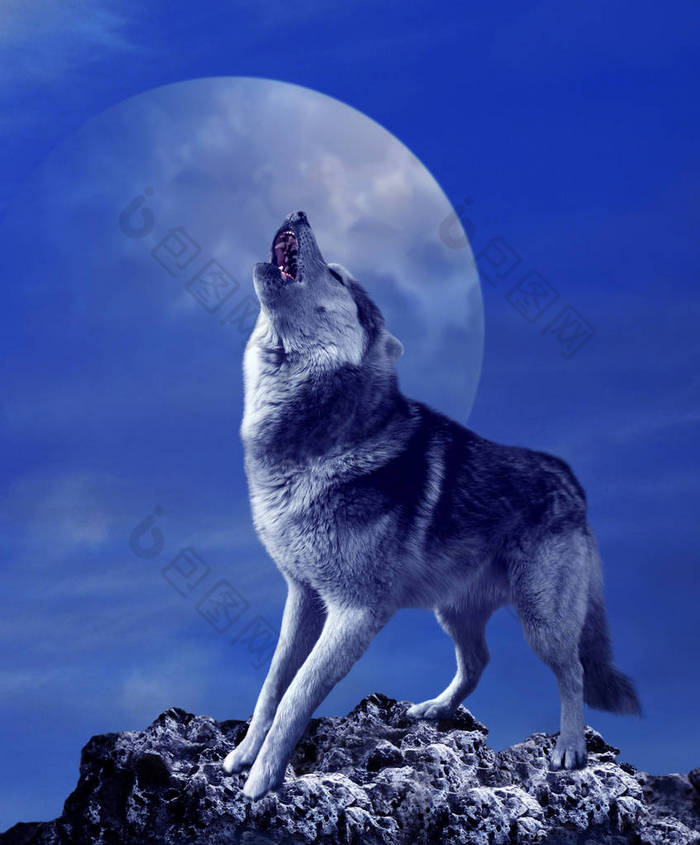 嚎叫狼和月亮