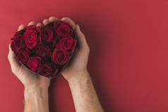 在红色的桌面上, 情人节的概念, 在红心形框的人举行玫瑰拍摄