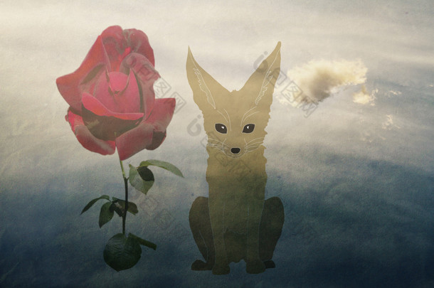 狐狸和玫瑰