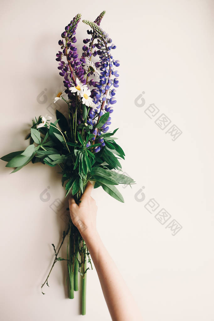 手捧可爱的羽扇和洋甘菊花束在阳光下质朴的