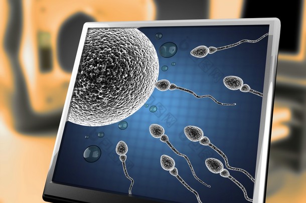 精子和卵子细胞。显微图像在显示器