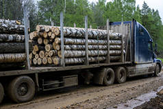 刀尖卡车运输锯材。卡车在路上运送原木。切割的原木被装在卡车上。运输木材的大型卡车.