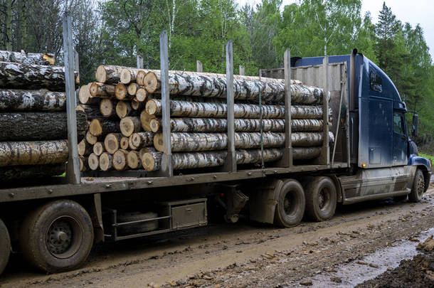 刀尖<strong>卡车</strong>运输锯材。<strong>卡车</strong>在路上运送原木。切割的原木被装在<strong>卡车</strong>上。运输木材的大型<strong>卡车</strong>.