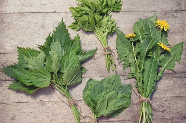 春季食用野生草本串: 荨麻, 蒲公英, goutweed, 车前草。论乡土木质背景  