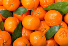 新鲜柑橘水果或柑橘与叶子, 作为背景