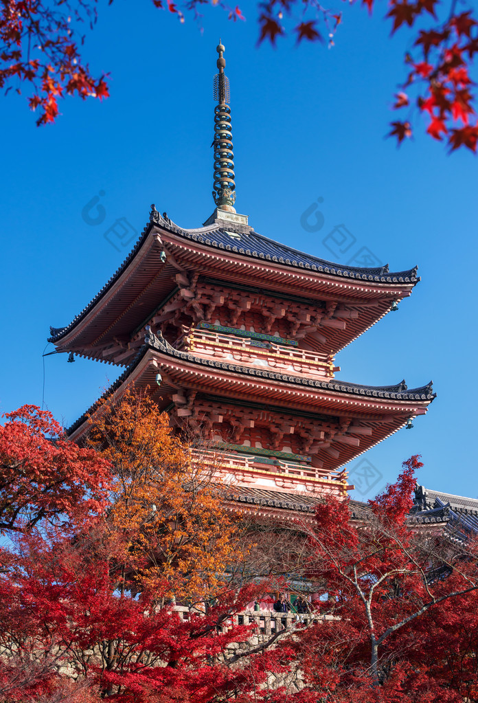 在秋天的季节里，日本的清水寺