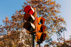 交通灯与红色信号, 绿色的树木和清晰的蓝天背景, 巴塞罗那, 西班牙