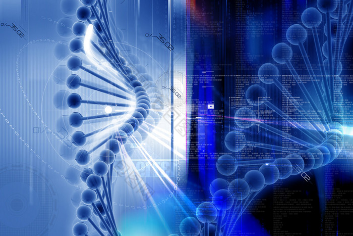 数字说明了 dna